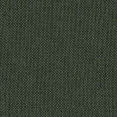 Toppoint_Gordijn_Asis_54_thijm_BASE