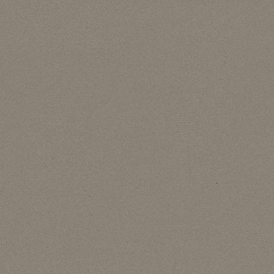 Toppoint_Gordijn_Black Velvet_02_beige_BASE