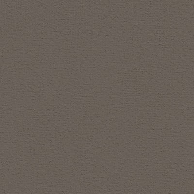 Toppoint_Gordijn_Black Velvet_03_taupe_BASE