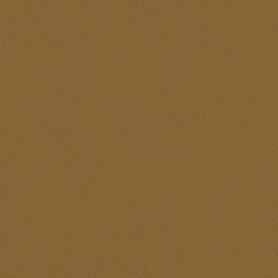 Toppoint_Gordijn_Black Velvet_06_antiek_BASE