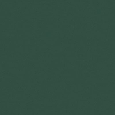 Toppoint_Gordijn_Black Velvet_13_groen_BASE