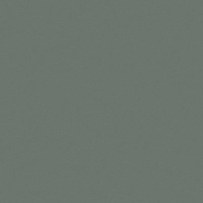 Toppoint_Gordijn_Black Velvet_14_celadon_BASE
