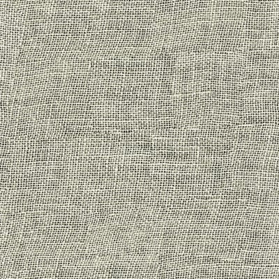 Toppoint_Gordijn_Evisa Voile_21_ivoor_BASE