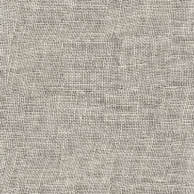 Toppoint_Gordijn_Evisa Voile_22_ecru_BASE