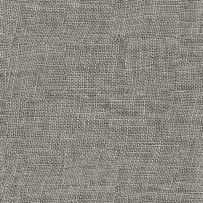 Toppoint_Gordijn_Evisa Voile_23_linnen_BASE