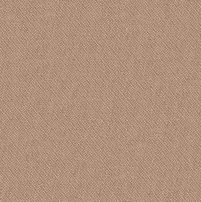 Toppoint_Gordijn_Inbetween Between_47_peach_BASE