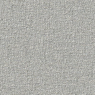 Toppoint_Gordijn_Inbetween_Naturel_06_zilver