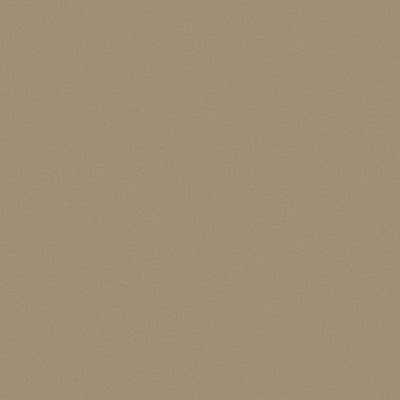 Toppoint_Gordijn_Isola_05_beige_BASE - 400x400