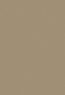 Toppoint_Gordijn_Isola_05_beige_BASE