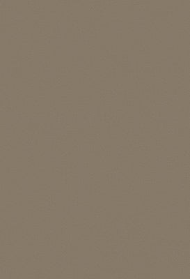 Toppoint_Gordijn_Isola_06_taupe_BASE