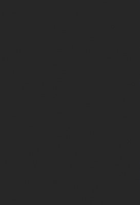 Toppoint_Gordijn_Isola_24_antraciet_BASE