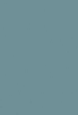 Toppoint_Gordijn_Isola_44_dauw_BASE