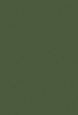 Toppoint_Gordijn_Isola_49_grasgroen_BASE