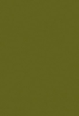 Toppoint_Gordijn_Isola_50_lente_BASE