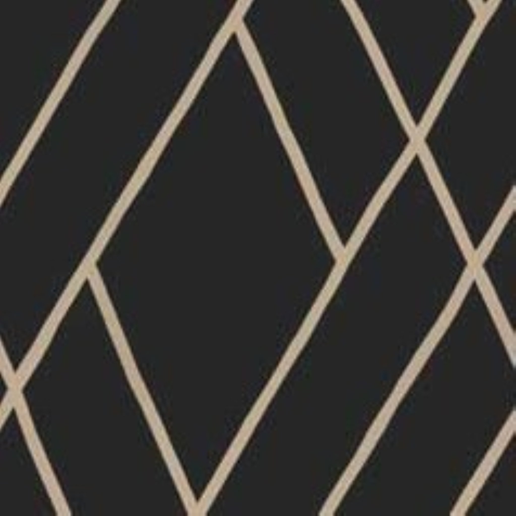 Toppoint_Gordijn_Lazo_1_zwart_BASE_2048x2048