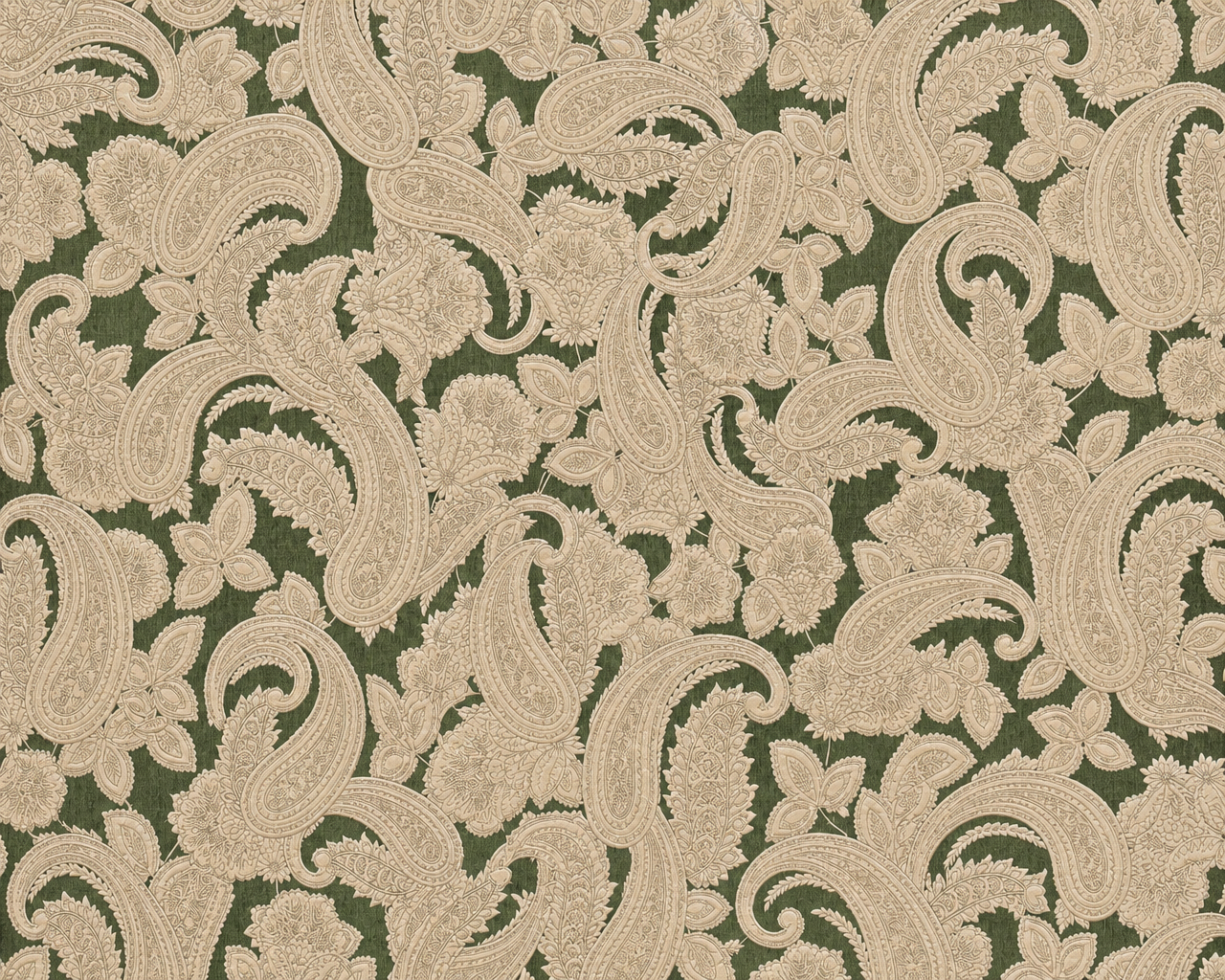 Ornara_olive_1