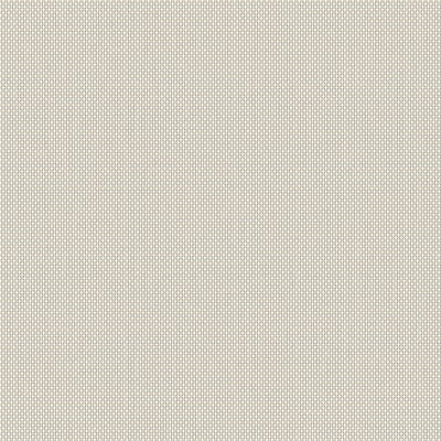Toppoint_Rolgordijn_Screen Penta_002_BASE_400x400