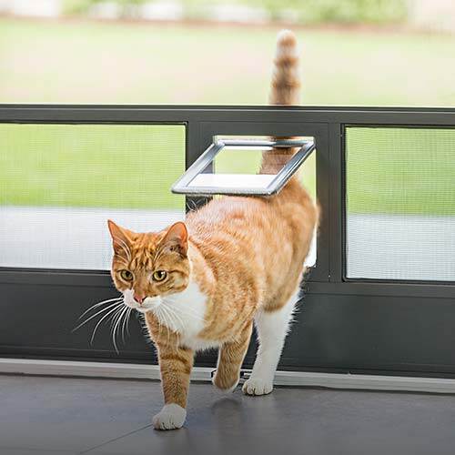 Neher_DT_Katzenklappe_1_500x500-Kopie-2